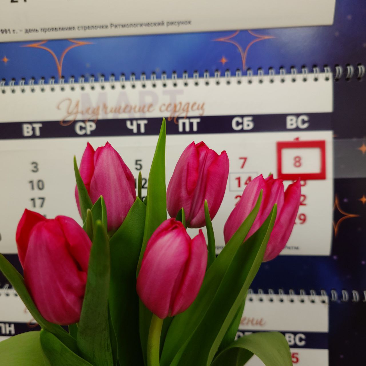 Поздравляем Ритмологинь!